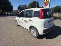 Gebraucht Fiat Panda Easy 69 PS (50 kW) 2018 Weiß Kleinwagen
