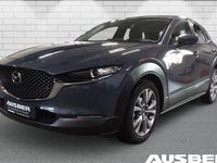 Usado Mazda CX-30 Selection 122 HP (89 kW) 2021 Cinzento SUV