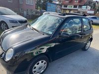 Gebraucht VW Lupo Basis 60 PS (44 kW) 2005 Schwarz Kleinwagen