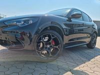 gebraucht Alfa Romeo Stelvio 2.0 Turbo 16V 206kW Competizione AT8-Q4