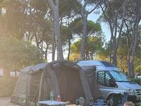 Gebraucht Ford Transit 2009 Silber Van / Kleinbus