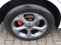 Neu Ford Kuga ST-Line X 242 PS (177 kW) 2025 Weiß SUV