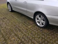 gebraucht Mercedes CLK240 