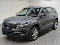 Gebraucht Skoda Kodiaq Ambition 150 PS (110 kW) 2020 Grau SUV
