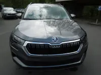 Nowe Skoda Karoq Selection 150 KM (110 kW) 2026 Szary SUV