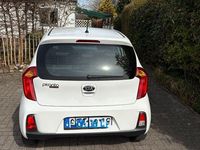 Gebraucht Kia Picanto 67 PS (49 kW) 2017 Weiß Kleinwagen