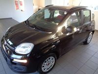 Gebraucht Fiat Panda 69 PS (50 kW) 2014 Colore esterno ( schwarz) Kleinwagen