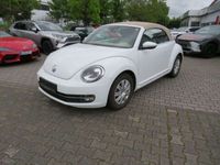 gebraucht VW Beetle Design BMT Cabriolet (5C7)