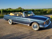 Gebraucht Mercedes W111 160 PS (117 kW) 1970 Blau Cabrio