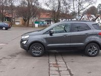 Gebraucht Ford Ecosport Cool & Connect 125 PS (91 kW) 2018 Braun SUV