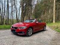 Gebraucht BMW 435 Luxury Line 313 PS (230 kW) 2016 Rot Cabrio