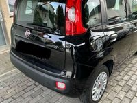 gebraucht Fiat Panda 1.2 Easy