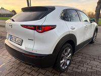 Gebraucht Mazda CX-30 Selection 116 PS (85 kW) 2019 Weiß SUV