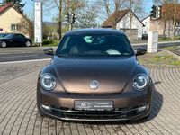 gebraucht VW Beetle 1.2 TSI Design Xenon Navi PDC SHZ Temp.