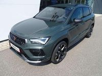 Neu Cupra Ateca 150 PS (110 kW) 2025 Dark forest grün (metallic) SUV
