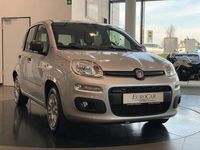 Gebraucht Fiat Panda Connect 69 PS (50 kW) 2020 Grau Kleinwagen