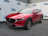 Gebraucht Mazda CX-30 Selection 186 PS (136 kW) 2023 Rot SUV