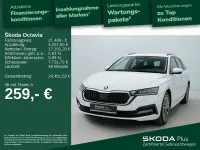 Gebraucht Skoda Octavia Ambition 150 PS (110 kW) 2023 Candyweiß Kombi