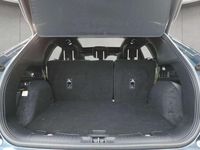 Gebraucht Ford Kuga ST-Line X 151 PS (111 kW) 2023 Blau SUV