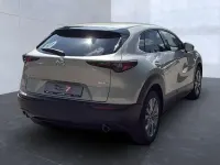 Gebraucht Mazda CX-30 Exclusive-Line 140 PS (102 kW) 2025 Platinum quartz (metallic) SUV