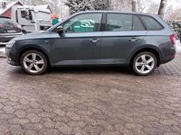 Gebraucht Skoda Fabia Soleil 95 PS (69 kW) 2019 Grau Kombi
