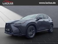 Neu Lexus NX350h Executive Line 243 PS (178 kW) 2025 Grau SUV