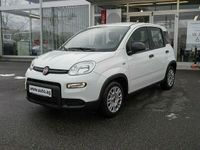 Gebraucht Fiat Panda 69 PS (50 kW) 2024 Weiß Kleinwagen