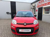 Gebraucht Fiat Panda Easy 69 PS (50 kW) 2019 Rot Kleinwagen