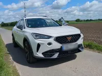 Gebraucht Cupra Formentor 150 PS (110 kW) 2024 Weiß SUV