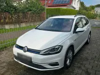 Gebraucht VW Golf VII 131 PS (96 kW) 2019 Weiß Kombi