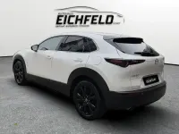 Gebraucht Mazda CX-30 Homura-Line 122 PS (89 kW) 2024 Snowflake white pearl SUV