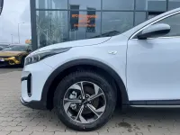 Neu Kia XCeed 116 PS (85 kW) 2025 Weiß SUV