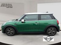 Gebraucht Mini Cooper 136 PS (100 kW) 2021 British racing green iv Kleinwagen