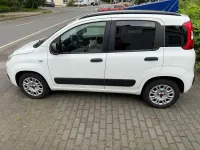 Gebraucht Fiat Panda 69 PS (50 kW) 2019 Weiß Kleinwagen