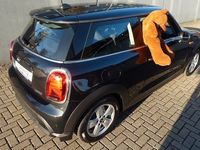 Gebraucht Mini Cooper Essential 136 PS (100 kW) 2022 Schwarz Kleinwagen