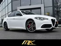 Gebraucht Alfa Romeo Giulia Veloce 280 PS (205 kW) 2024 Bianco banchise, uni Limousine