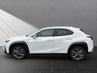 Gebraucht Lexus UX 250h Sport Line 184 PS (135 kW) 2023 Weiß SUV