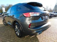 Gebraucht Ford Kuga ST-Line X 224 PS (164 kW) 2023 Grau SUV