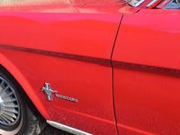 gebraucht Ford Mustang 6 Zylinder mit H Zulassung