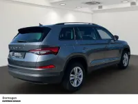 Gebraucht Skoda Kodiaq Ambition 150 PS (110 kW) 2023 Grau SUV