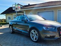 gebraucht Audi A3 Cabriolet 2.0 TDI 135kW S line S line