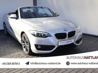 Gebraucht BMW 230 Sport Line 252 PS (185 kW) 2017 Glaciersilber Cabrio
