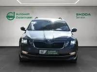 Gebraucht Skoda Octavia Style 190 PS (139 kW) 2020 Grau Limousine