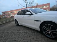 Gebraucht Jaguar XE 340 PS (250 kW) 2016 Weiß Limousine