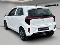 Gebraucht Kia Picanto Vision 63 PS (46 kW) 2025 Weiss Kleinwagen