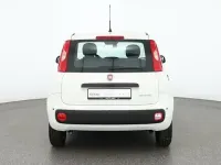 Neu Fiat Panda Connect 71 PS (52 kW) 2025 Gelatoweiss Kleinwagen