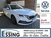 Gebraucht Skoda Octavia Style 150 PS (110 kW) 2022 Weiß Kombi