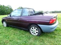 gebraucht Ford Escort Cabriolet 