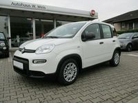 Neu Fiat Panda 69 PS (50 kW) 2025 601 Kleinwagen
