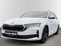 Gebraucht Skoda Octavia Selection 150 PS (110 kW) 2024 Moonweiss metallic Kombi